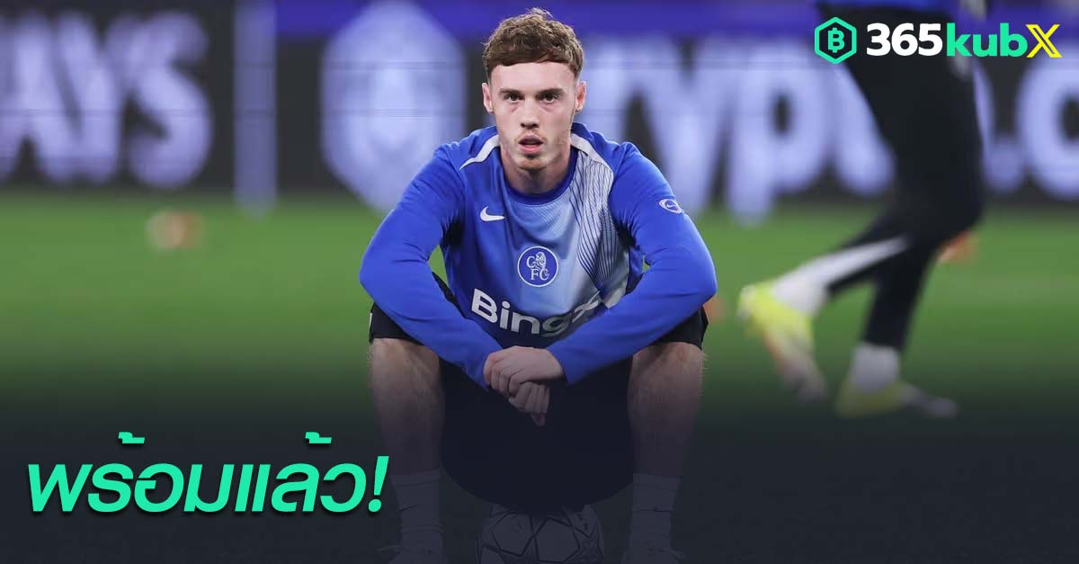 โคล พาลเมอร์