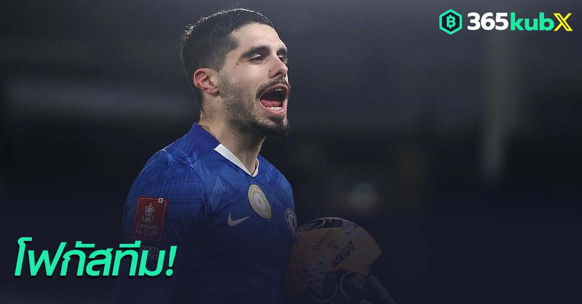 เปโดร เนโต้